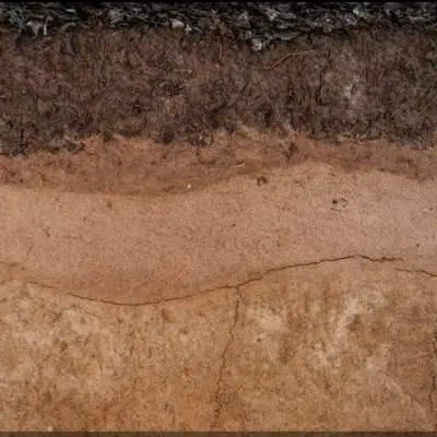 زمین ثمین ۳