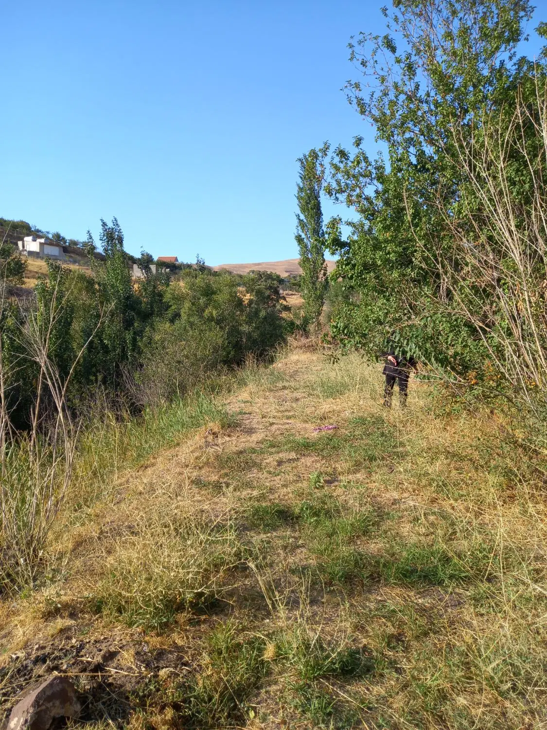 روستای زرشک،  باغ میوه ، منطقه زیرجوب