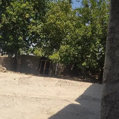 اجاره خانه بنک اباد