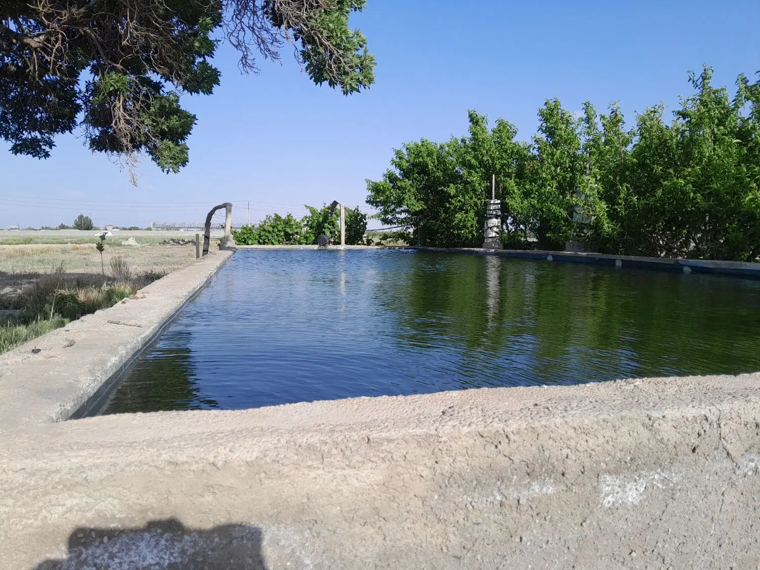 باغچه به‌ مساحت ۱۱۱۴متر مربع با انواع درختان میوه