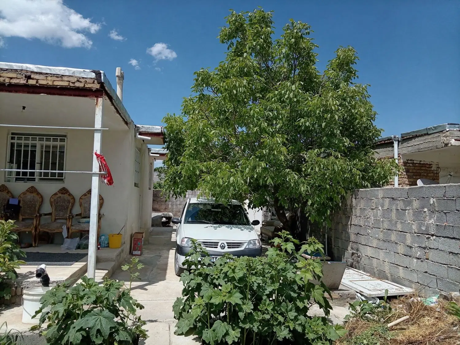 باغ واقع در جاده چی چست روبرویه روستای قلیلو
