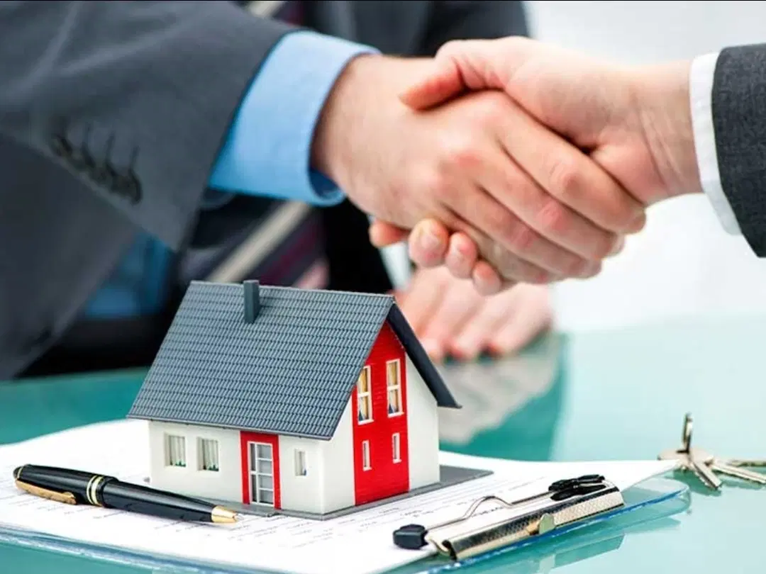 فروش زمین قائم ۲