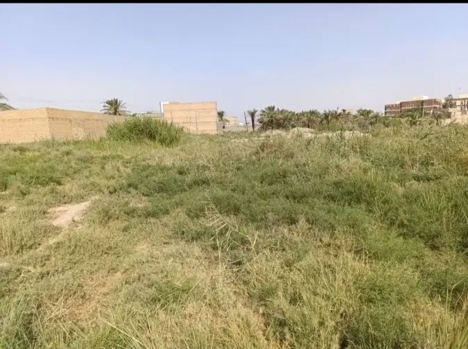 زمین محرزی بین نهر چهار.پنج