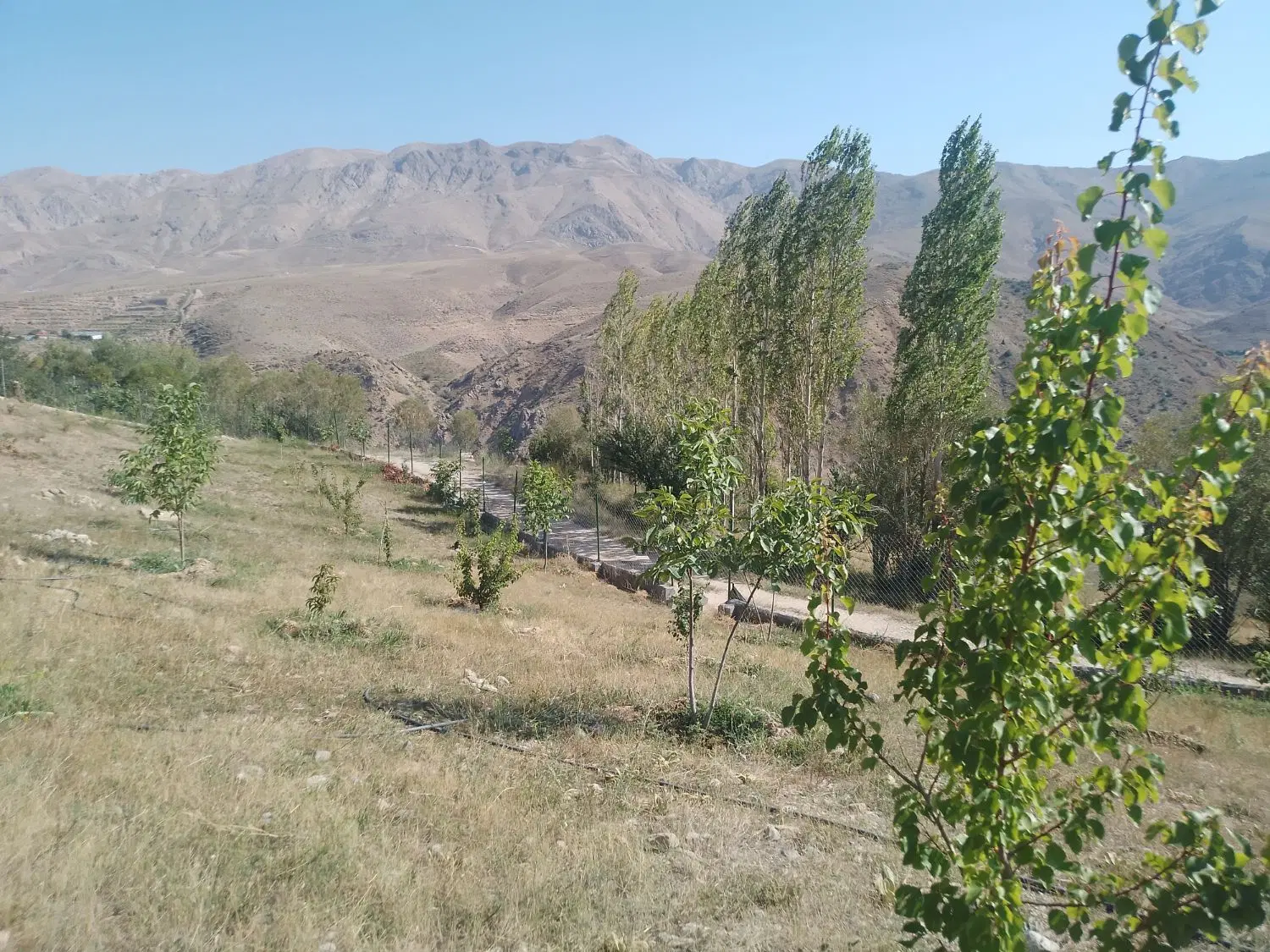 باغ