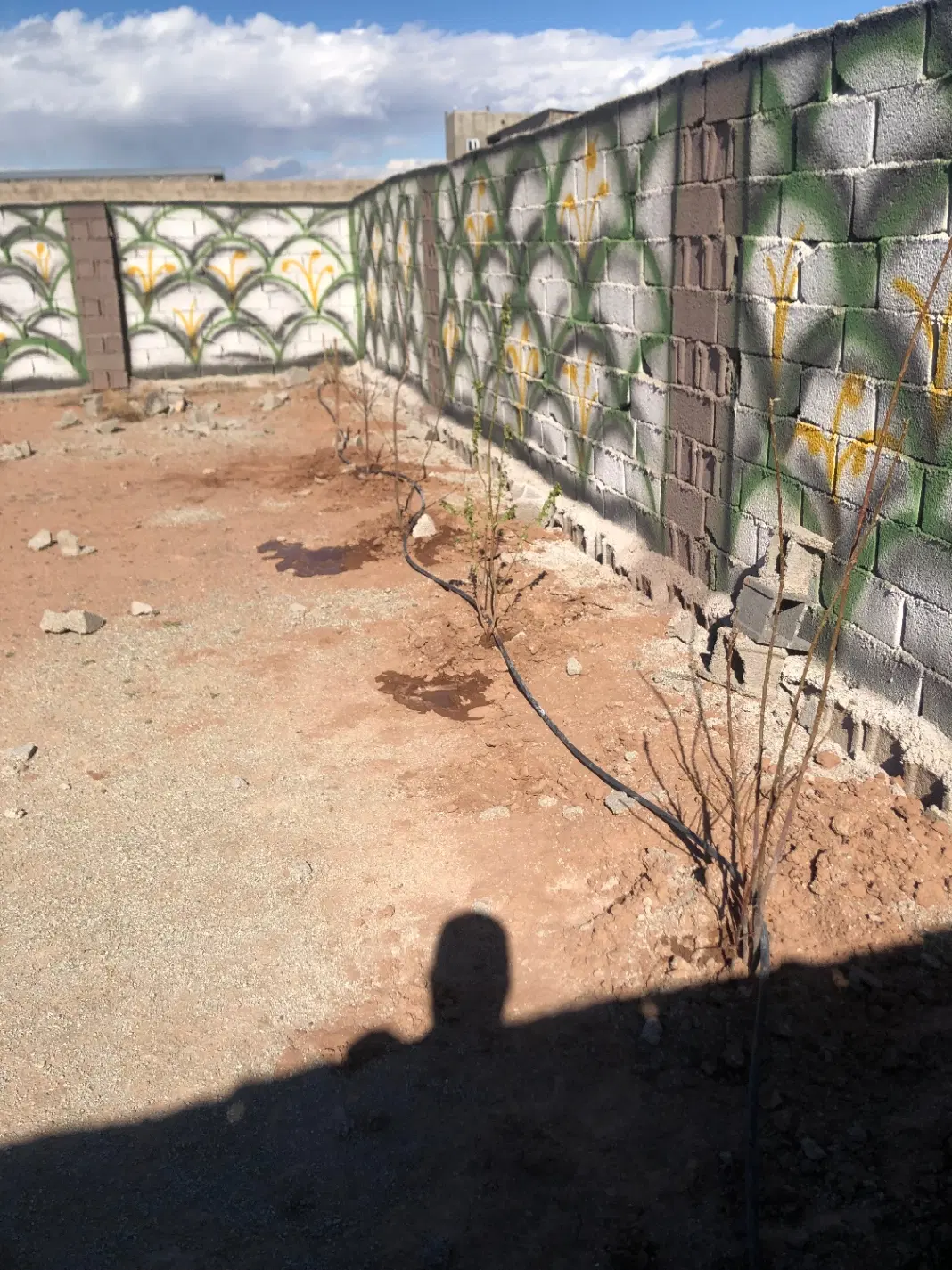 باغچه ۱۵۶ متری داخل شهرک