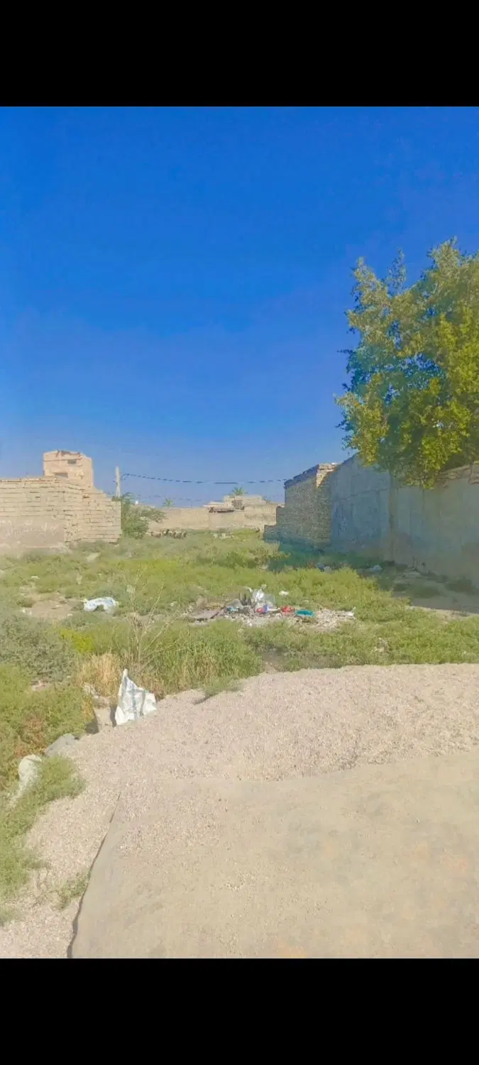 ملاشیه خیابون  15