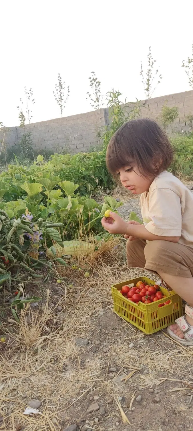 متراژ 100 متر زمین سه فرزندی با کلیه مدارک