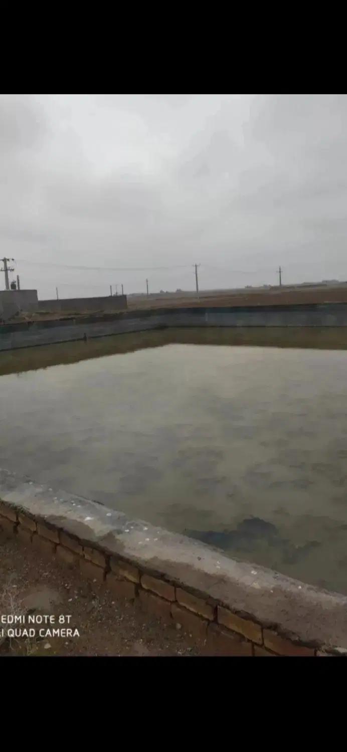 زمین باغی ،
