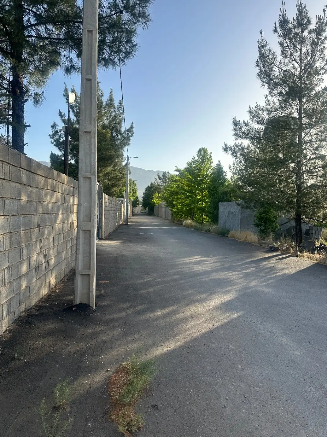 فروش زمین باغی