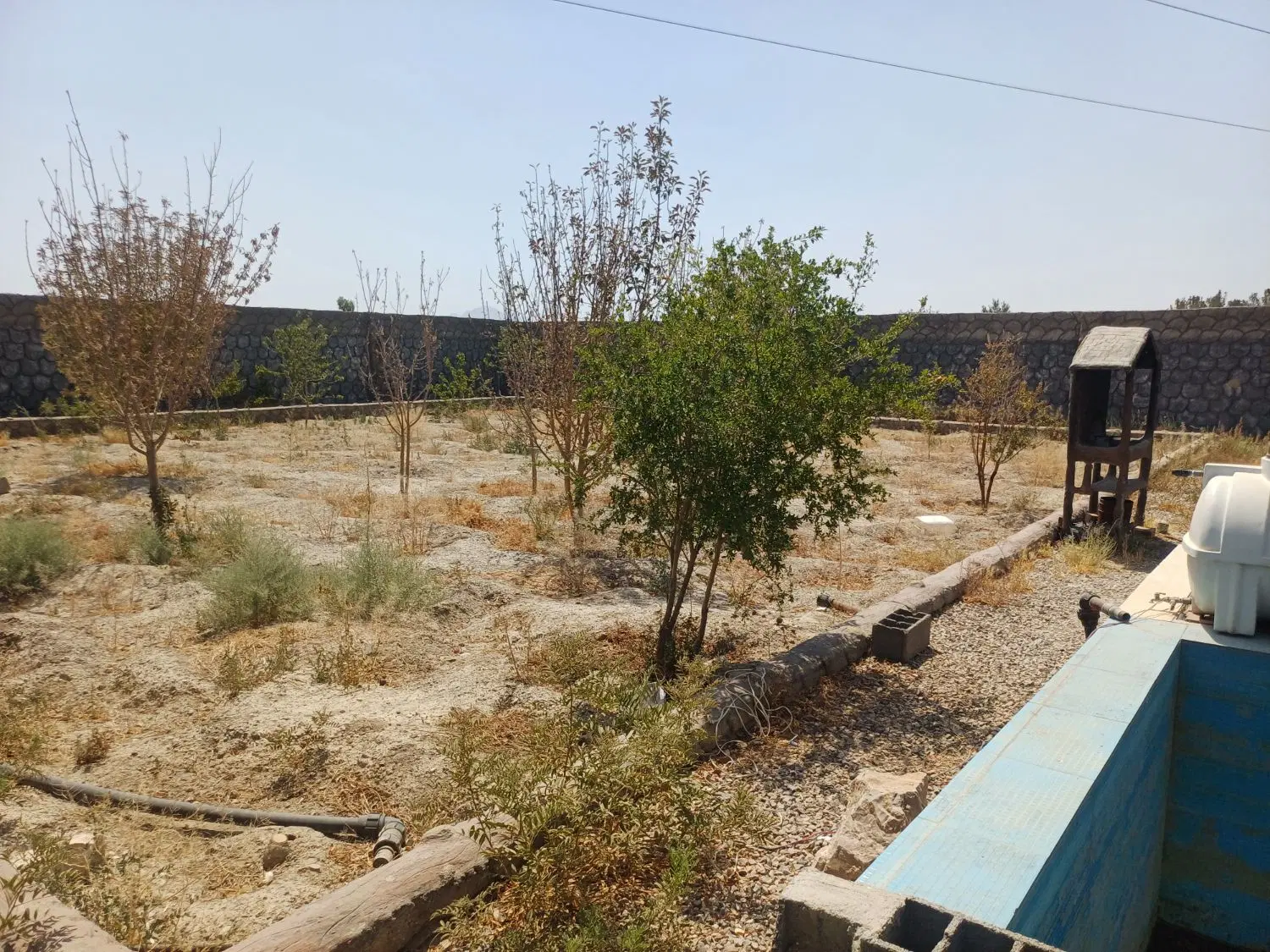 زمین باغ