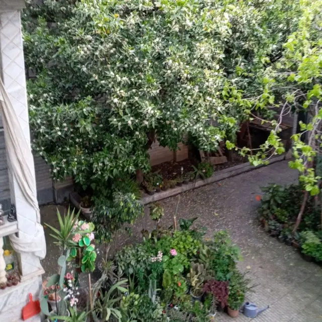 خونه ویلایی حیاط دار