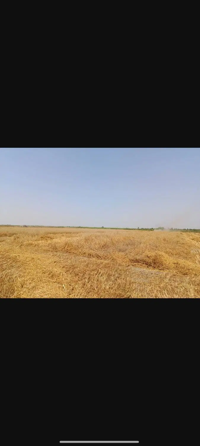 زمین ۶۵۰۰ متری سلطان آباد