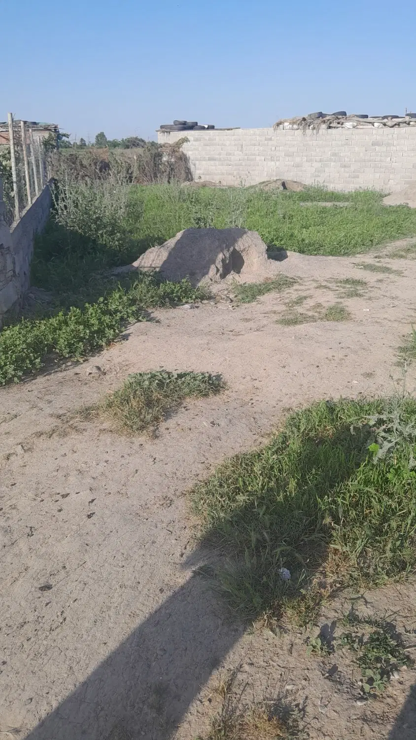 زمین مسکونی