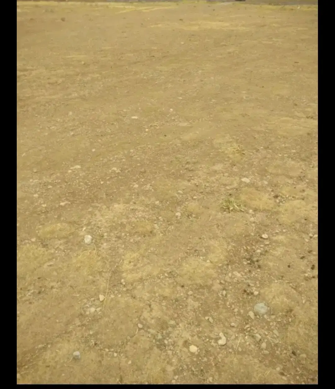 زمین 270 متری