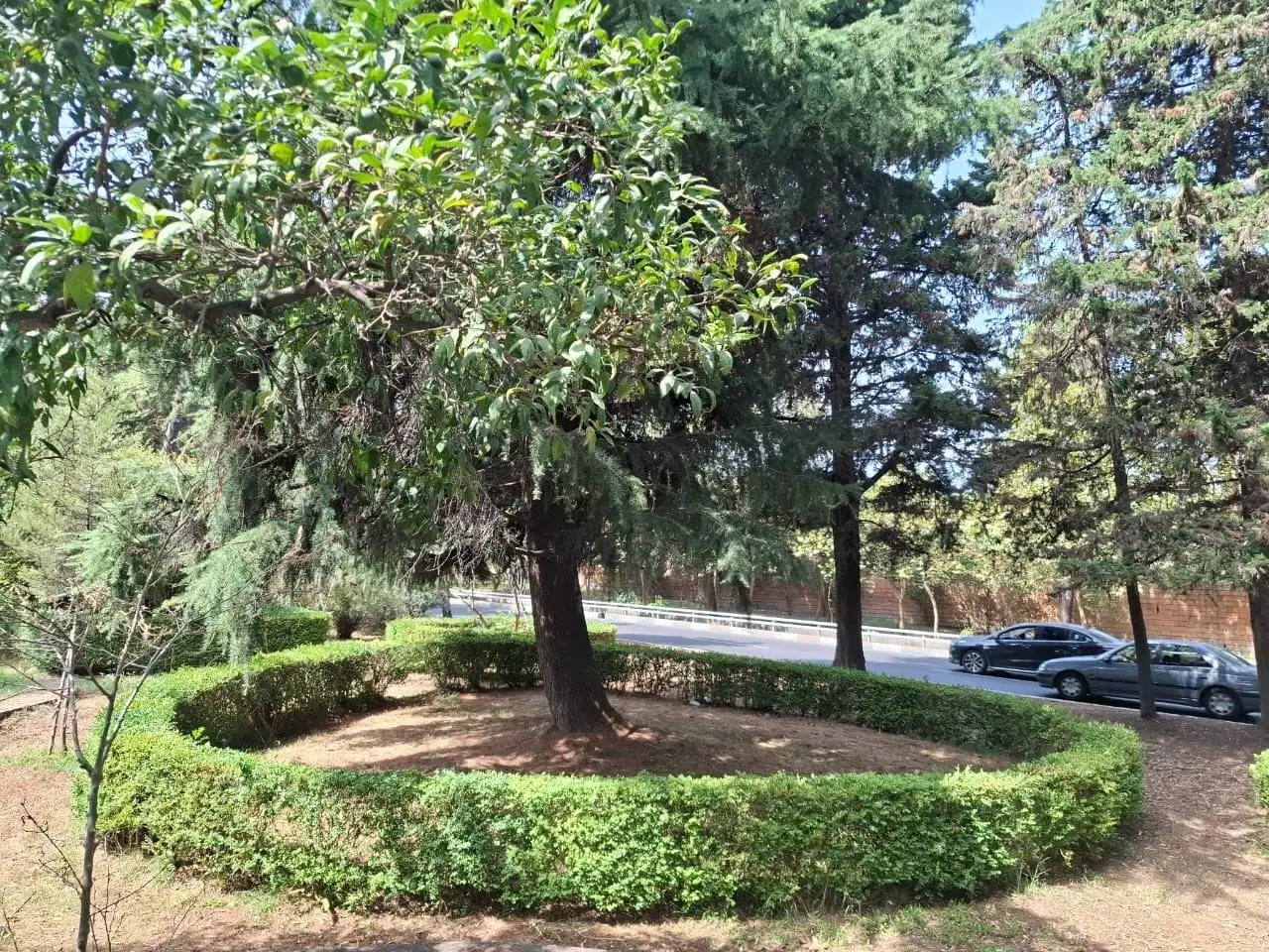 فروش آپارتمان شخصی سازثمین