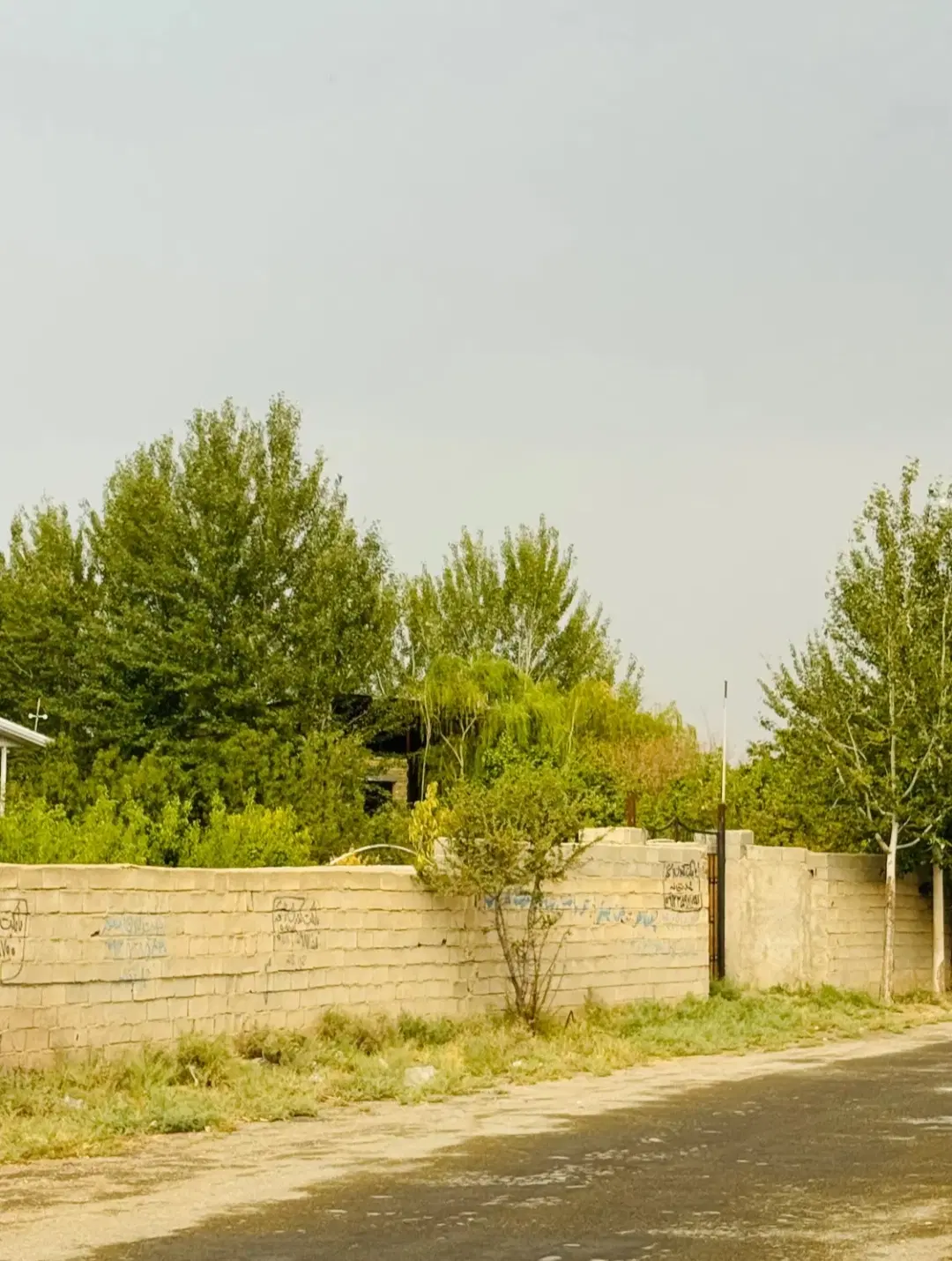 ۱،۲۰۰ متر زمین در کوهسار آردهه
