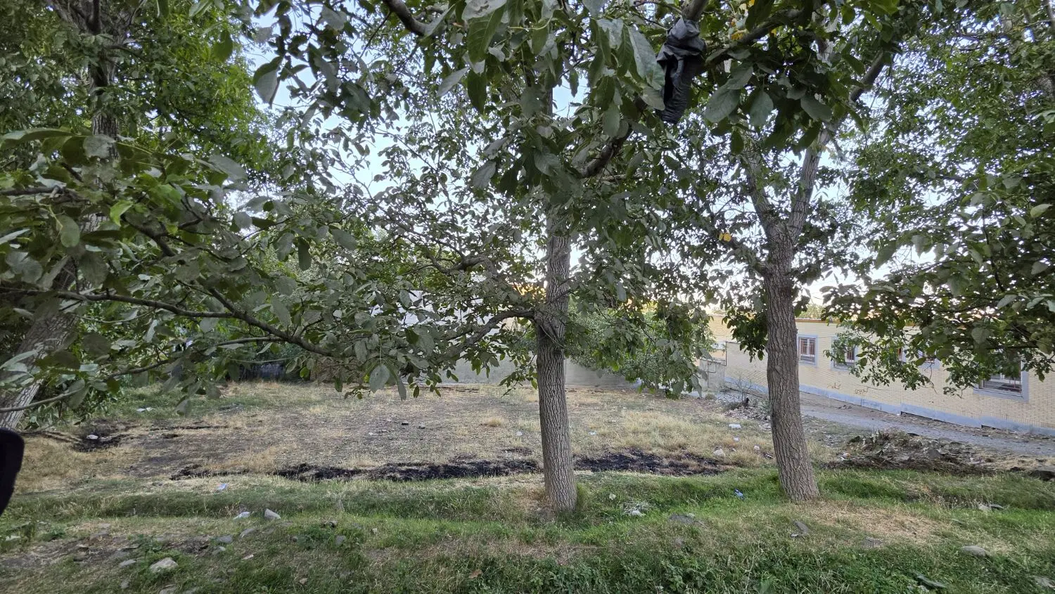 زمین باغی مسکونی