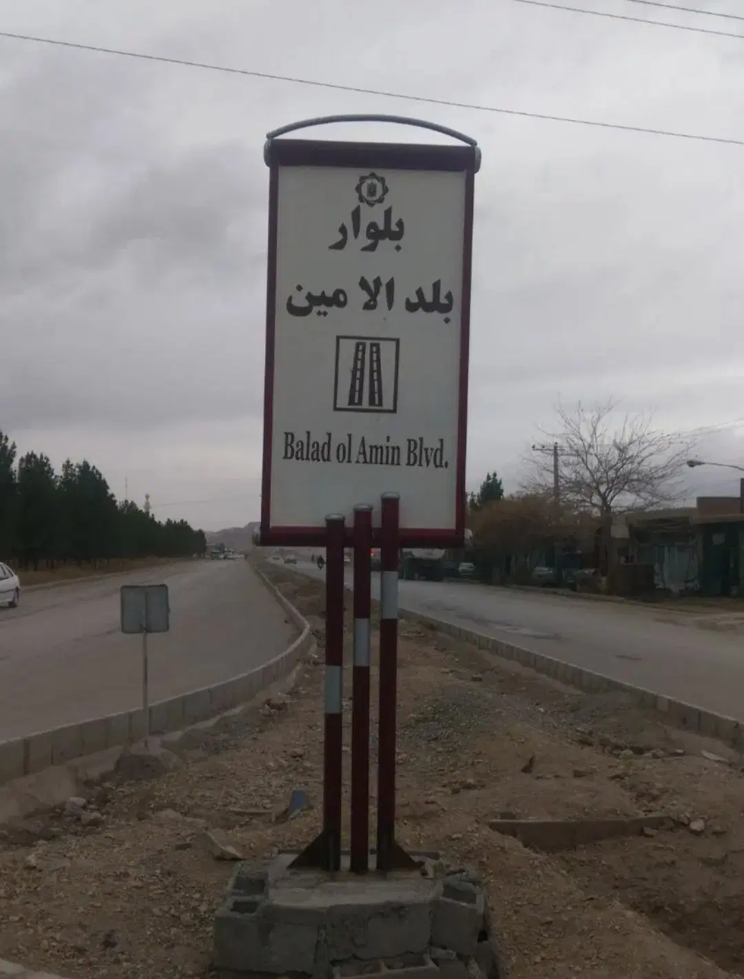 زمین تک برگ سروستان. عالی