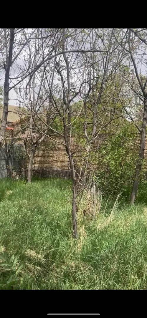 فروش باغچه در روستای سربندان