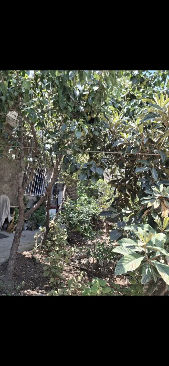 منزل تجاری مسکونی