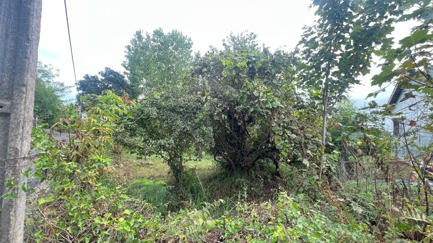 زمین مسکونی