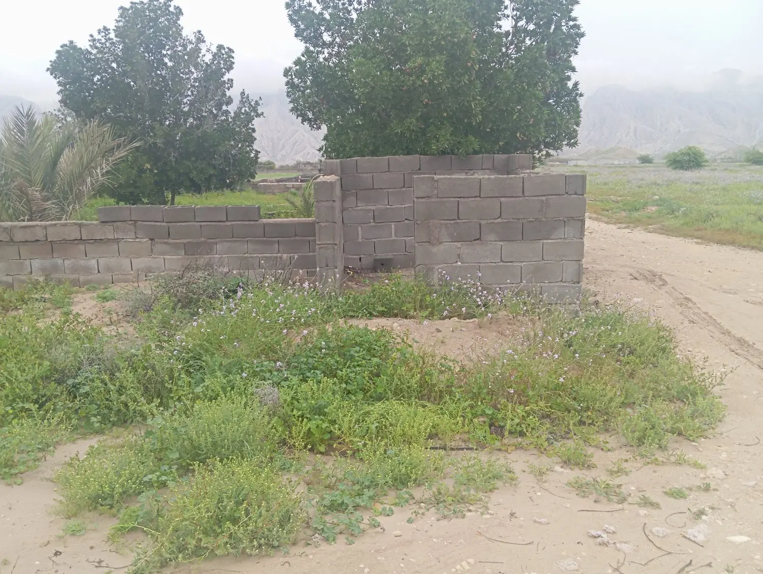 زمین کشاورزی ملخرگ