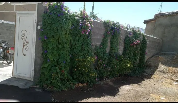 منزل ویلایی پاچمن