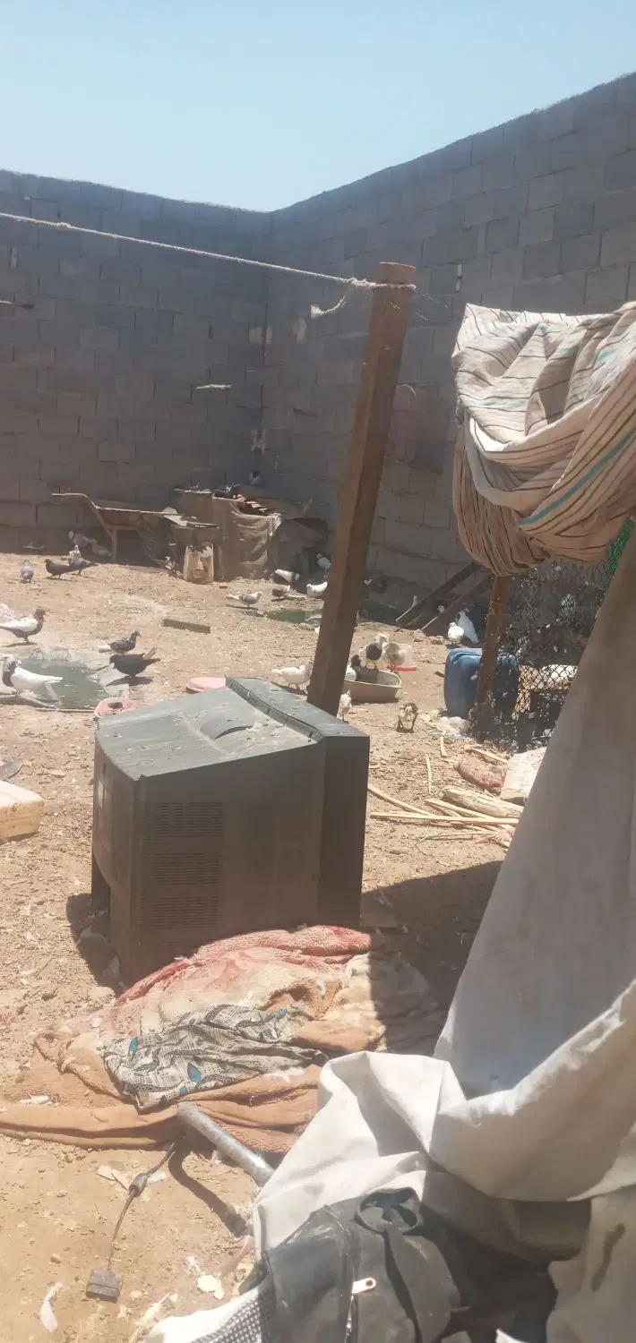دو تا خانه و یک زمین