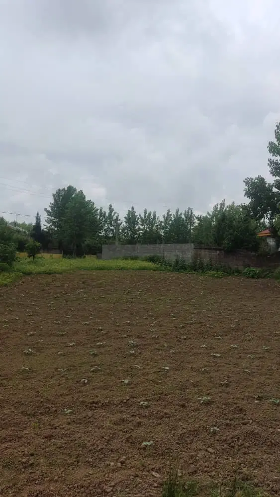 زمین مسکونی چمثقال