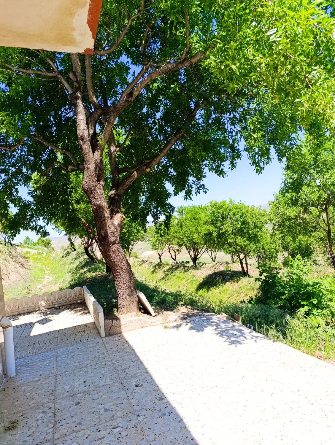 باغ دو راهی نیاق