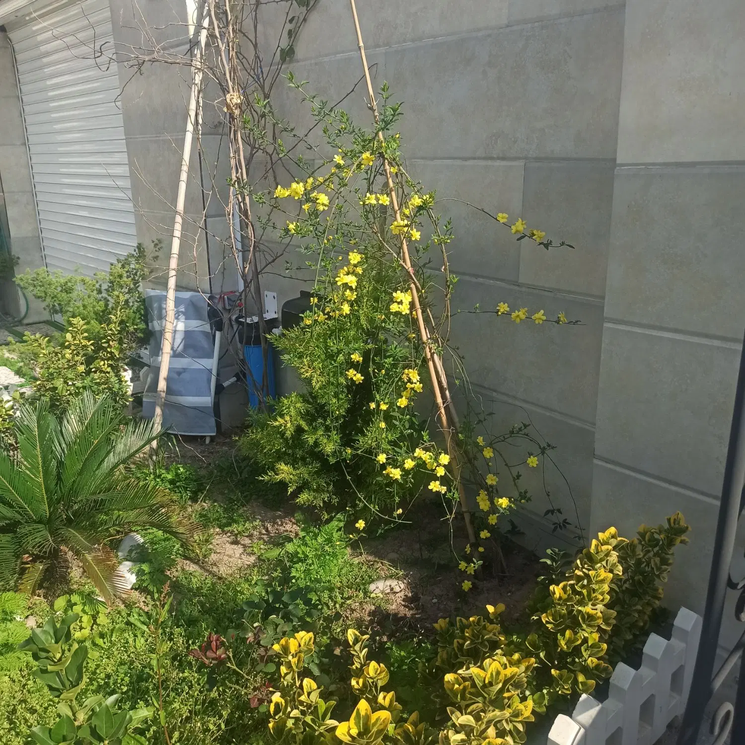 220مترزمین رشت سنگرکوچه سارا سندشش دانگ