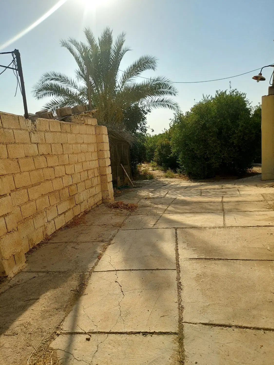 فروش باغ