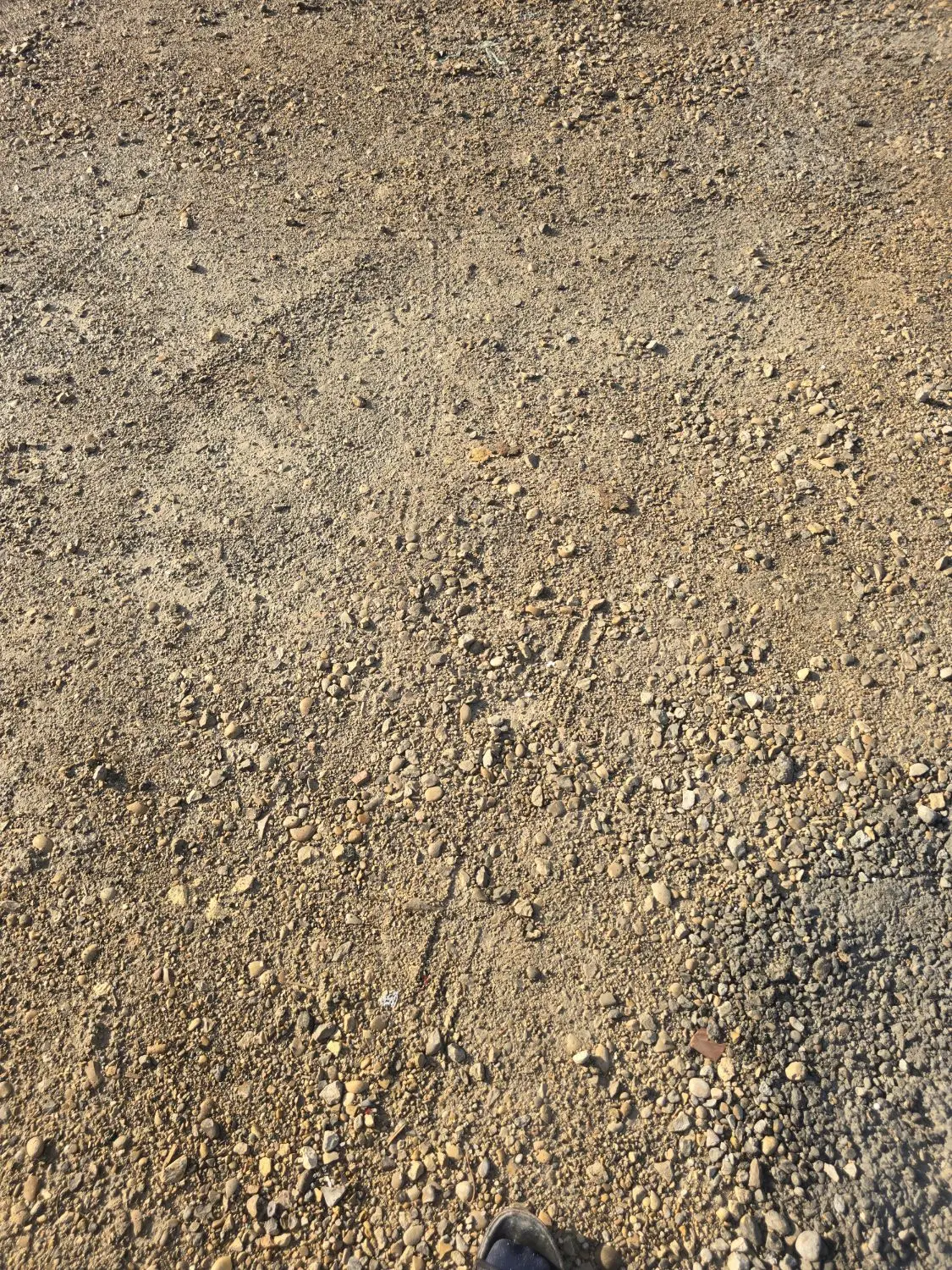 زمین شهرک مدنی