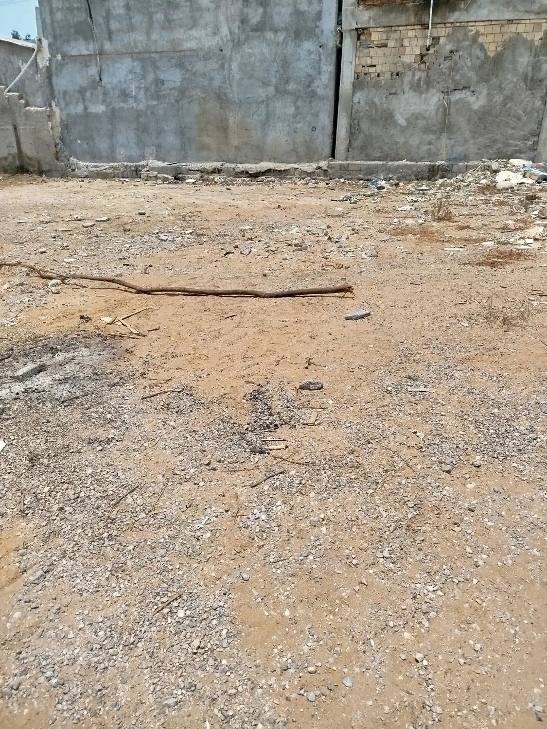 زمین