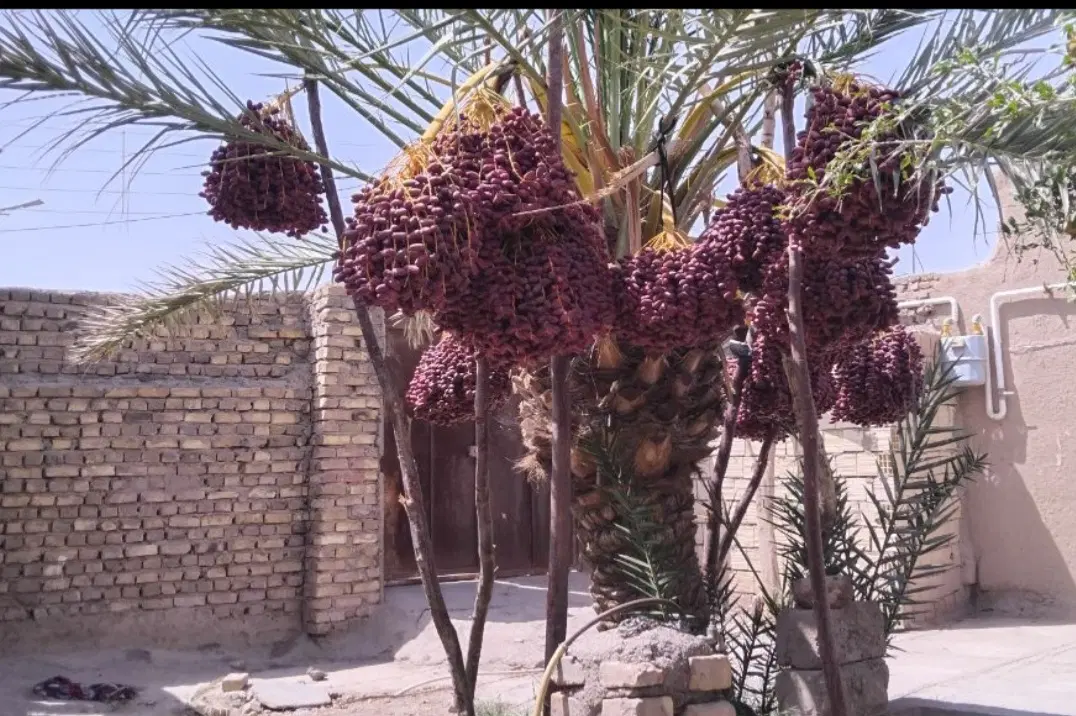 منزل‌فروشی‌گنبدی‌خیابان‌سعدی‌نبش‌۶