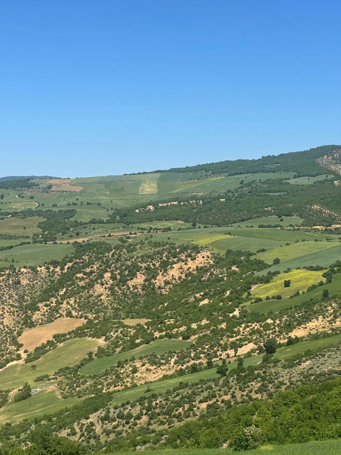 زمین کوهستانی سه هکتار
