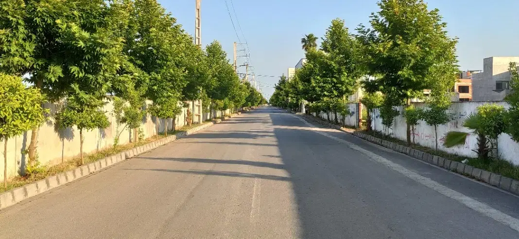 مازندران سرخرودزیباکنار۲۰۴مترزمین سندتک برگ