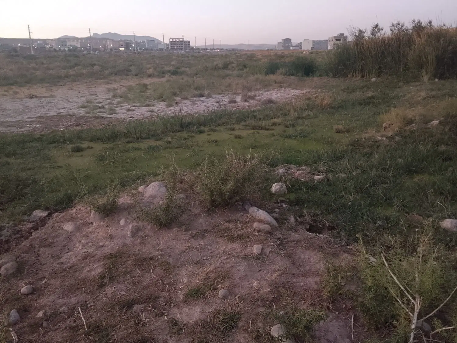 زمین آینده دار