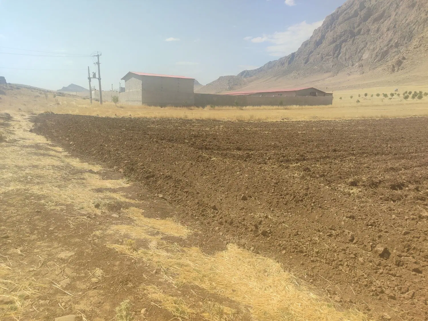 زمین کشاورزی