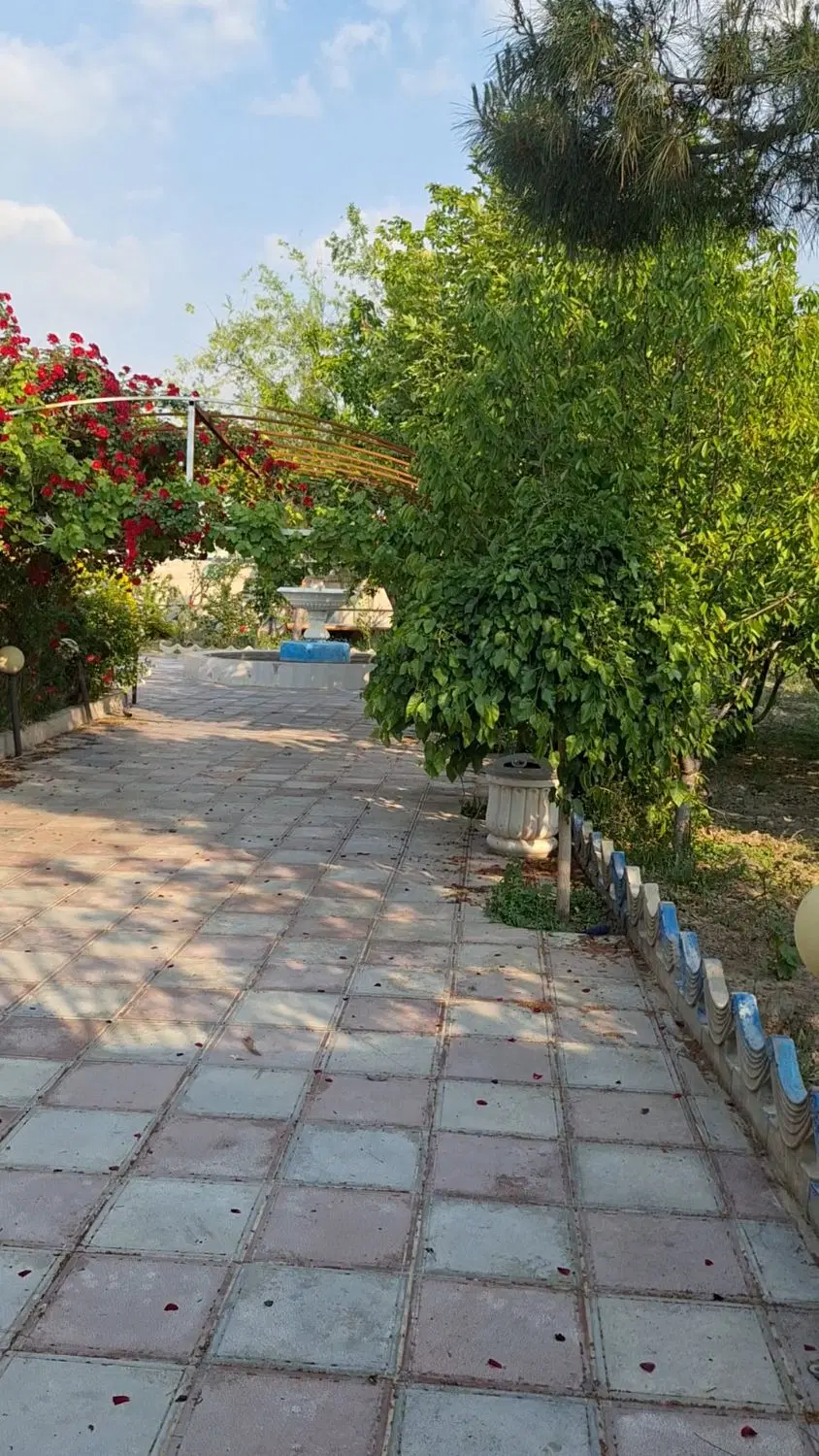 باغ پسته ۱۰ هزار متری