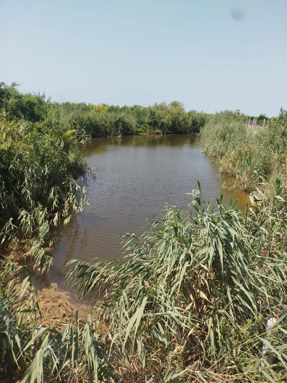 باغ نارنگی گهرباران