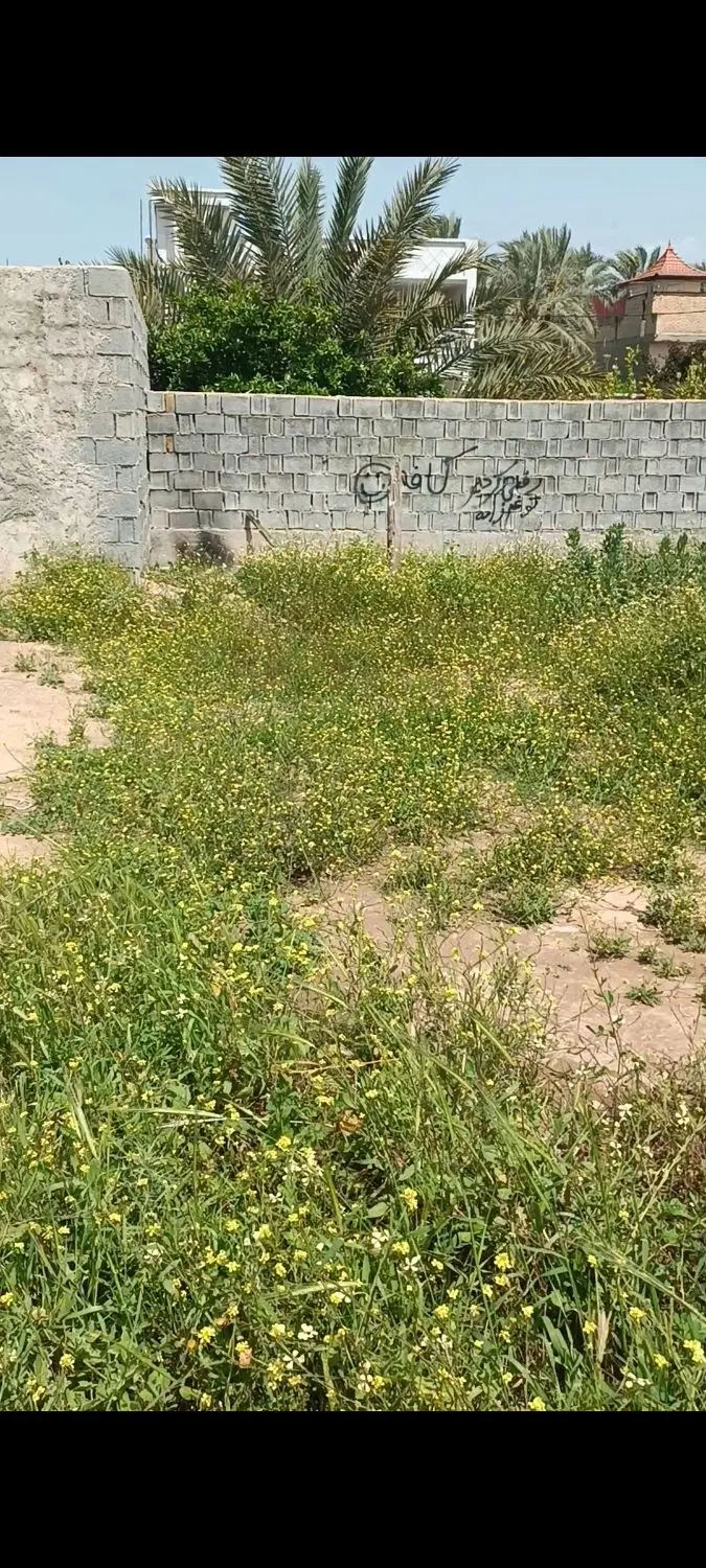 زمین ۳۴۰متر کنارتخته