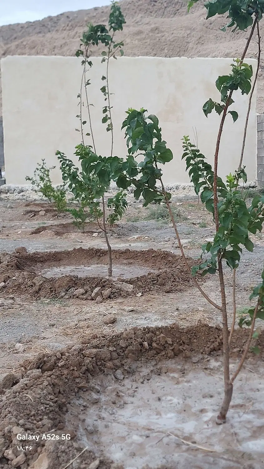 فروش ویلا باغ