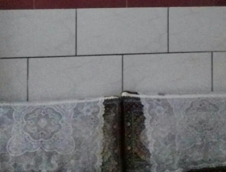 یک واحد  خانه  اجاره ای  طبقه  همکف از دوطرفه