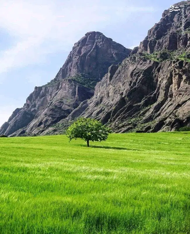 زمین کوی اریا