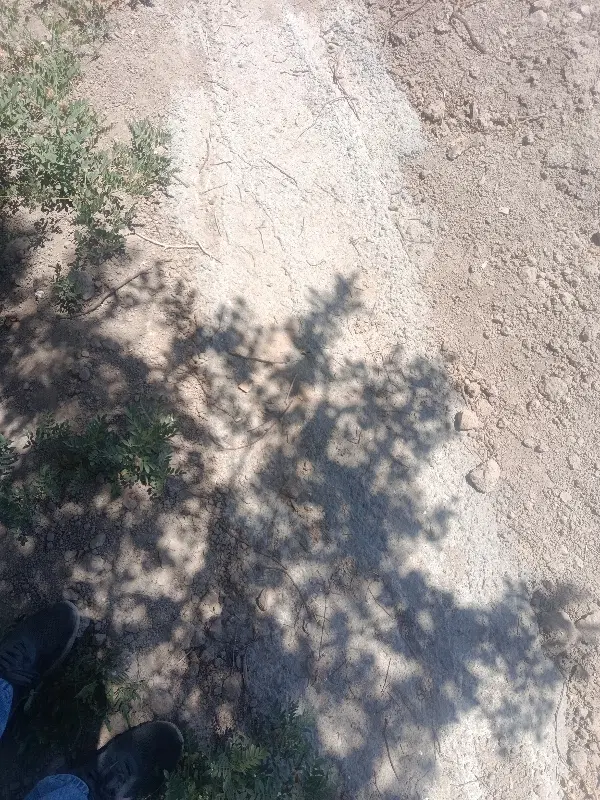 زمین کشاورزی