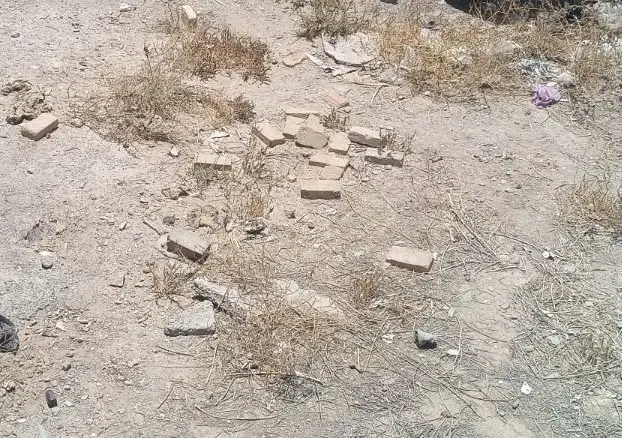 گاوداران