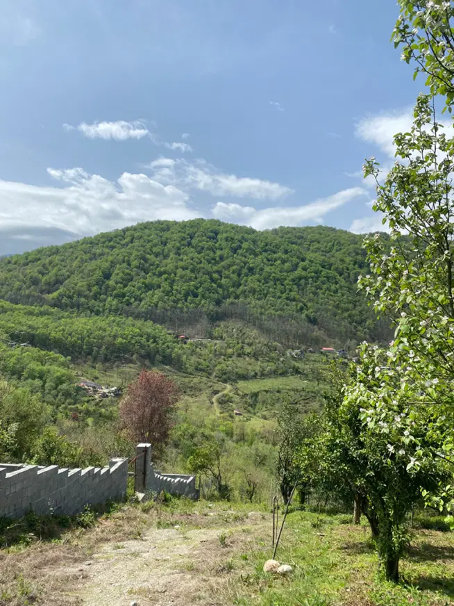 زمین جنگلی کاربری مسکونی