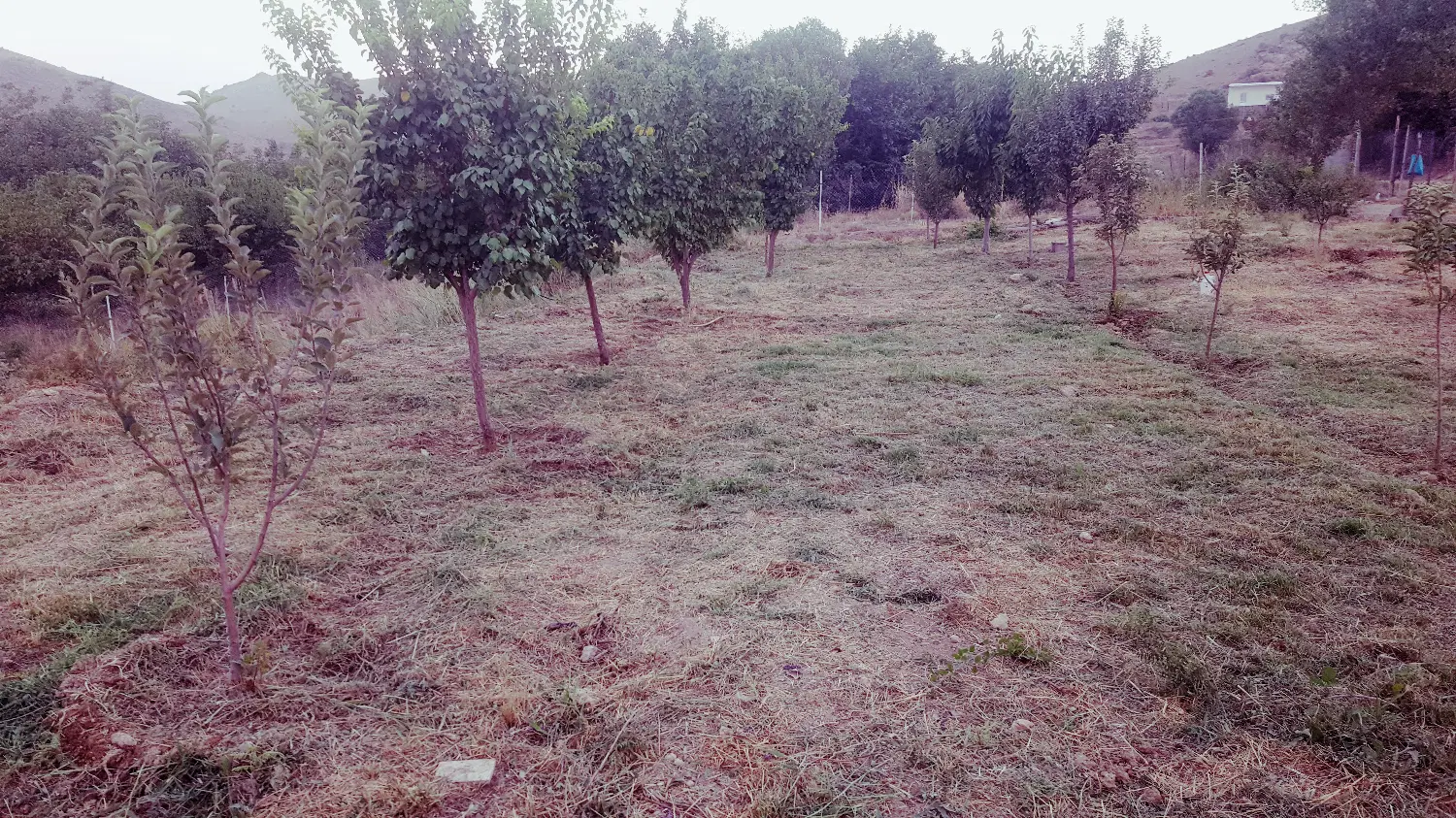 ۱۶۰۰ متر باغ در منطقه چمبورک