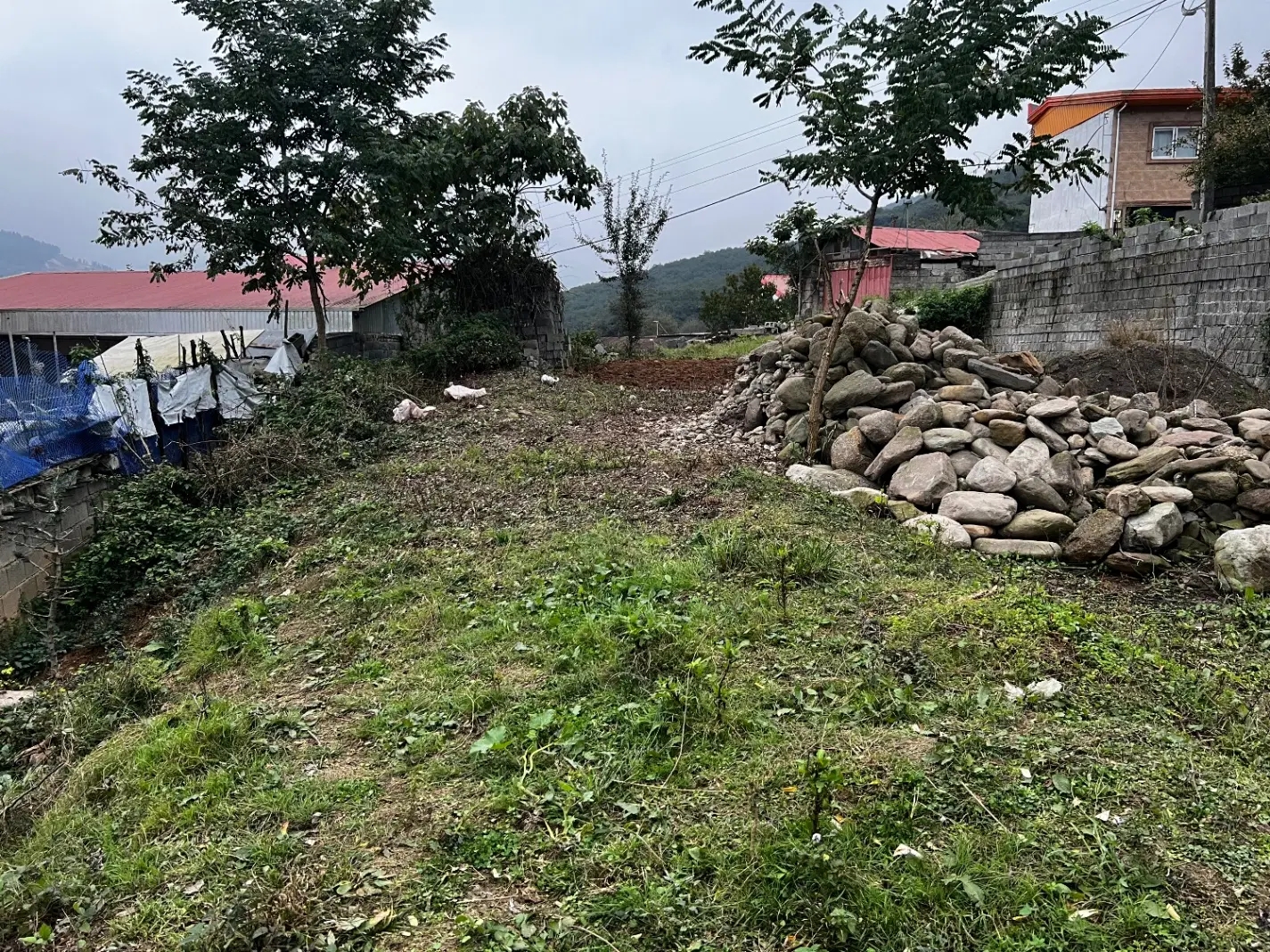زمین کشاورزی